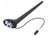 Antenna; car top,automotive; 0.2m; AM,FM; Alfa Romeo,Fiat,Lancia 4CARMEDIA