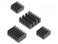 Heatsink; black; Raspberry Pi 4 B; aluminium; 4pcs. DFROBOT