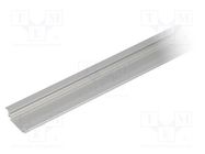 Profiles for LED modules; natural; L: 2m; GROOVE10; aluminium TOPMET