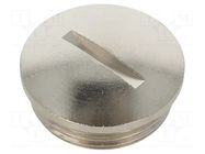 Stopper; M25; 1.5; IP54; brass; Plating: nickel; SKINDICHT® LAPP