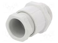 Cable gland; PG21; polyamide ILME