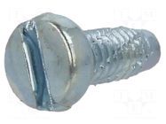 Screw; for metal; 3x12; Head: cheese head; slotted; 0.8mm; zinc BOSSARD