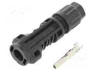 Connector: solar; plug; male; SOLARLOK; IP68; for cable; crimped TE Connectivity