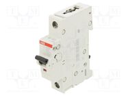 Circuit breaker; 230/400VAC; Inom: 63A; Poles: 1; Charact: C; 10kA ABB