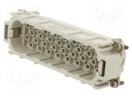 Connector: HDC; contact insert; male; C146,heavy|mate D; PIN: 64 AMPHENOL