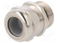 Cable gland; NPT3/4"; IP68; brass; HSK-M-Ex HUMMEL