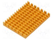 Heatsink: extruded; grilled; Raspberry Pi; golden; L: 40mm; W: 30mm 