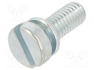 Screw; with washer; M3x10; 0.5; Head: cheese head; slotted; 0,8mm 