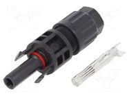 Connector: solar; plug; female; SOLARLOK; IP68; for cable; crimped TE Connectivity