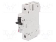 Circuit breaker; 230/400VAC; Inom: 32A; Poles: 1; Charact: B; 10kA ETI POLAM