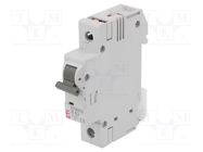 Circuit breaker; 230/400VAC; Inom: 63A; Poles: 1; Charact: B; 6kA ETI POLAM