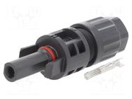 Connector: solar; plug; female; SOLARLOK; IP68; for cable; crimped TE Connectivity