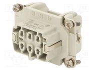 Connector: HDC; contact insert; female; C146,heavy|mate E; PIN: 6 AMPHENOL