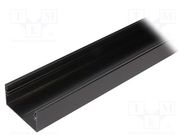 Profiles for LED modules; black; L: 2m; LOWI; aluminium; surface TOPMET