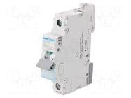 Circuit breaker; 230/400VAC; Inom: 25A; Poles: 1; Charact: D; 10kA HAGER