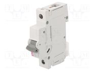 Circuit breaker; 230/400VAC; Inom: 16A; Poles: 1; Charact: B; 10kA ETI POLAM