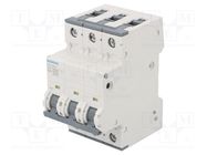 Circuit breaker; 230/400VAC; Inom: 25A; Poles: 3; Charact: B; 10kA SIEMENS