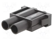 Connector: HDC; module; male; C146,heavy|mate M; PIN: 2; 1kV AMPHENOL