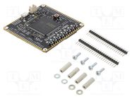 Dev.kit: ARM ST; documentation,header strips,prototype board MIKROE