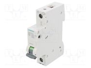 Circuit breaker; 230VAC; Inom: 25A; Poles: 1; Charact: B; 6kA; IP20 SIEMENS