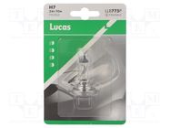 Filament lamp: automotive; PX26d; transparent; 24V; 70W; LLB LUCAS