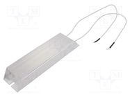 Resistor: wire-wound; with heatsink; 60Ω; 300W; ±5%; 215x60x30mm SR PASSIVES