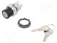 Switch: rotary with key; 22mm; Stabl.pos: 2; black/silver; none ABB