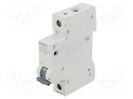 Circuit breaker; 230/400VAC; Inom: 20A; Poles: 1; Charact: B; 10kA SIEMENS