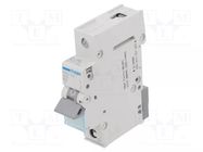 Circuit breaker; 230/400VAC; Inom: 25A; Poles: 1; Charact: B; 6kA HAGER