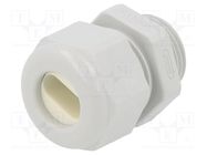 Cable gland; M20; 1.5; IP65; polyamide; grey; Holes no: 1; 14x6mm HUMMEL