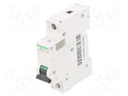 Circuit breaker; 500VDC; Inom: 2A; Poles: 1; for DIN rail mounting SCHNEIDER ELECTRIC