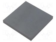 Plate; 100x100x10mm; 7.2kW; FPL; -40÷125°C KEMET