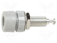 Connector: 4mm banana; socket; 15A; 60VDC; grey; tinned; on panel POMONA