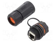 Coupler; socket; Cat: 6a; shielded; 8p8c; RJ45 socket x2; IP68 LOGILINK