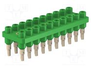 Socket strip; 2mm banana; green; 70VDC; 10A; 33VAC; Sockets: 20 STÄUBLI