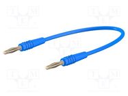 Test lead; 60VDC; 30VAC; 10A; banana plug 2mm,both sides; blue STÄUBLI