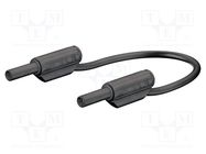 Test lead; 10A; banana plug 2mm,both sides; Urated: 600V; black STÄUBLI