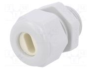 Cable gland; M20; 1.5; IP65; polyamide; grey; Holes no: 1; 11.5x5mm HUMMEL