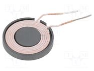 Coil; 5.6uH MOLEX