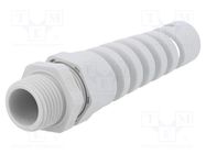 Cable gland; with strain relief; NPT1/2"/16; IP68; polyamide HUMMEL