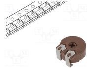 Potentiometer: mounting; single turn,horizontal; 100kΩ; 330mW PIHER