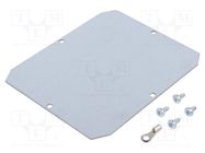 Mounting plate; steel 