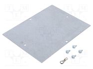 Mounting plate; steel 