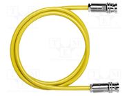 Test lead; 500VDC; BNC plug,both sides; Len: 0.91m; yellow; Z: 50Ω POMONA