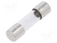 Fuse: fuse; time-lag; 2A; 250VAC; cylindrical,glass; 5x20mm; brass LITTELFUSE