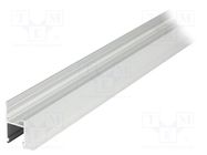 Profiles for LED modules; natural; L: 1m; FRAME14; aluminium TOPMET