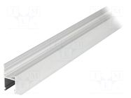 Profiles for LED modules; natural; L: 1m; FRAME14; aluminium TOPMET