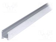 Profiles for LED modules; natural; L: 2m; LINEA20; aluminium TOPMET