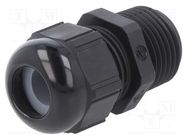 Cable gland; NPT1/2"; IP68; polyamide; black; SKINTOP® STR NPT 