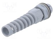 Cable gland; IP68; polyamide; dark grey; push-in LAPP